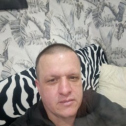 ���������, 41 ���, �����������