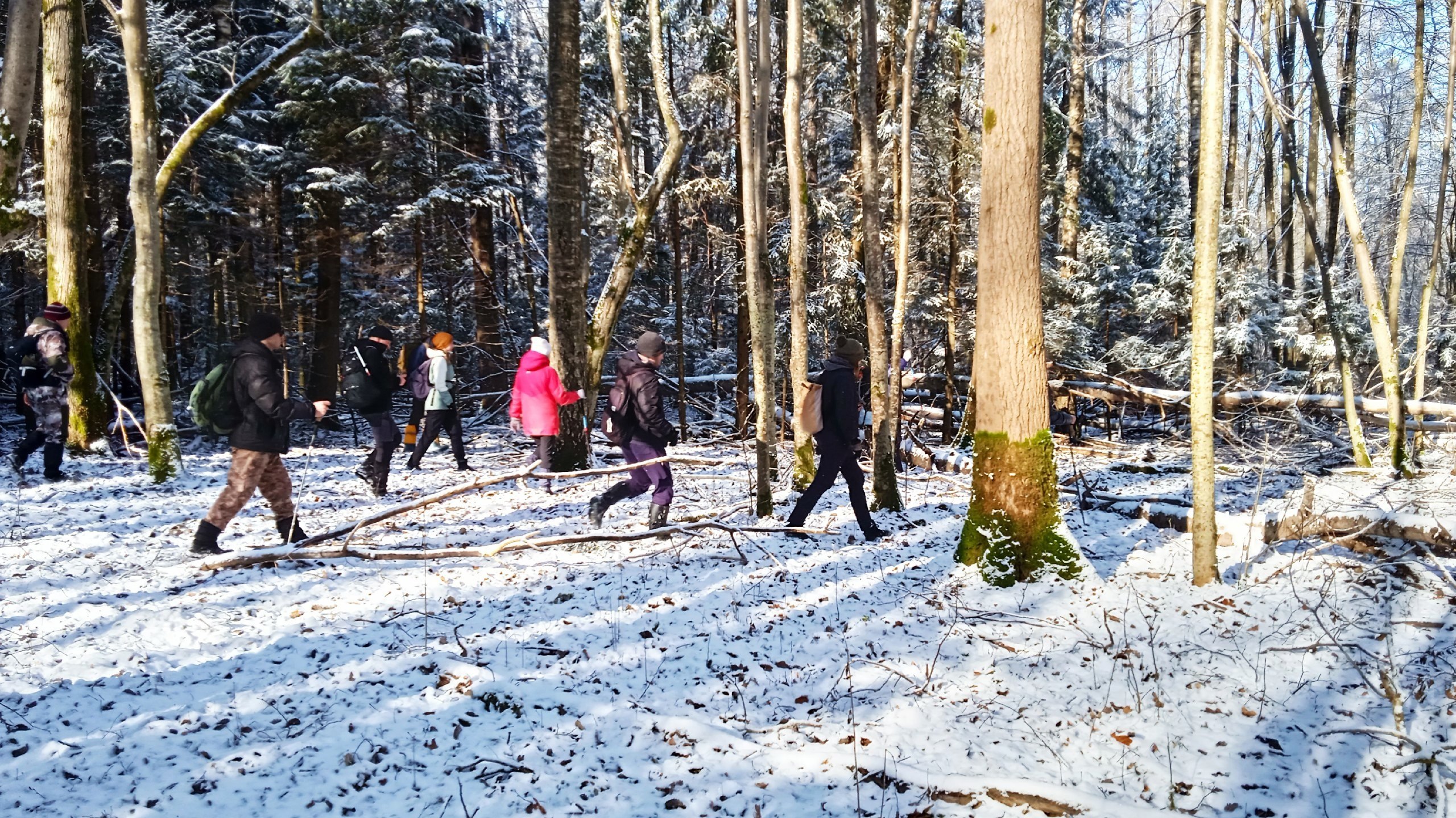 ������� ��������� - 16 ������� 2025 � 21:55 - 8