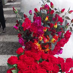 ���, ������, 28 ���