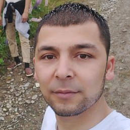 ����, ��������, 37 ���