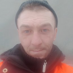 �������, ����, 40 ���