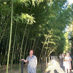 ���� �������, ������, 59 ��� - ��������� 3 ������� 2026