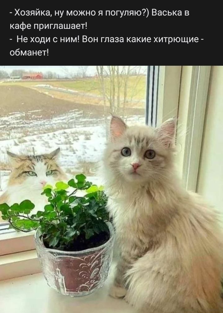 ��� ���� - 9 ����� 2026 � 21:03