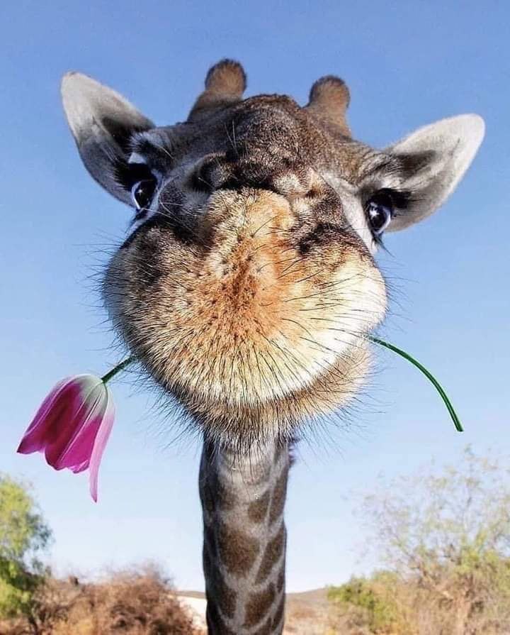 :)