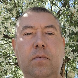 �����, ����, 46 ���