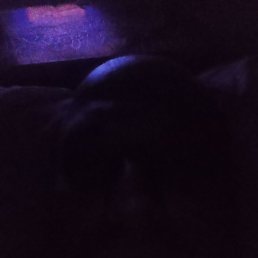 ����� ������, ������, 44 ����