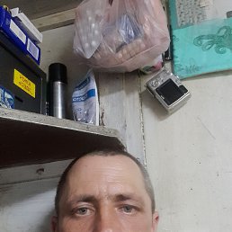  ., , 45  -  9  2024