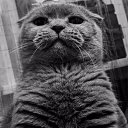 ���� �������, ������ ��������, 51 ��� - ��������� 2 ������ 2023 � ������ ���� ����������