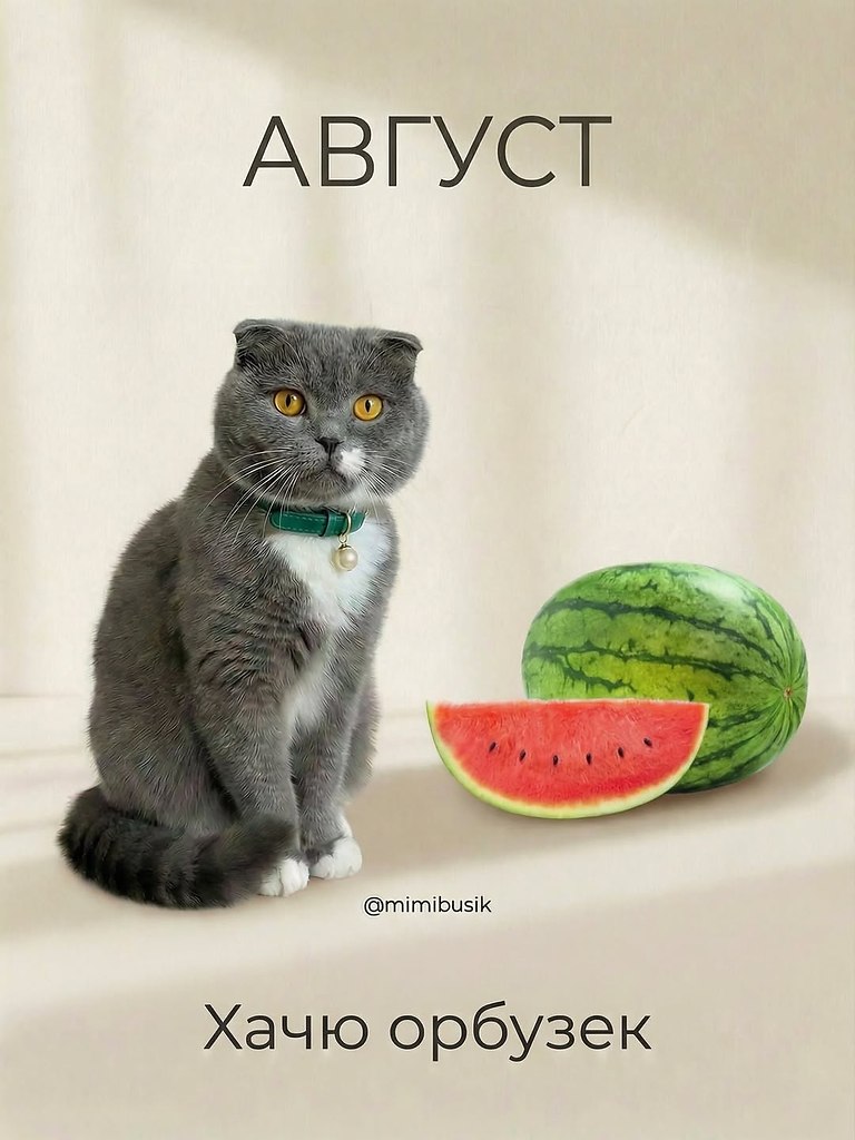 � � ��� ������� - 6