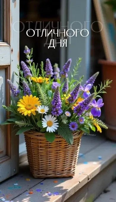 �� ����� ������! - 16 ���� 2026 � 08:53