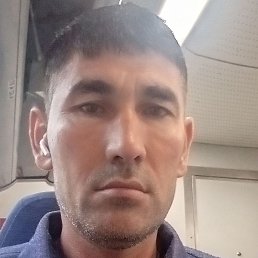 �����, ������, 37 ���