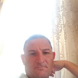 , 44 , 