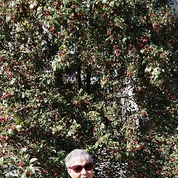 �����, �������, 65 ���