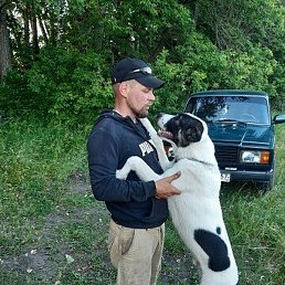 ���������, ������ ��������, 36 ���