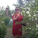 ���� �����, �����������, 43 ���� - ��������� 27 ������� 2023 � ������ ���� ����������