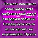 ���� ������� /�����, �� ����������/, ������ - ��������� 10 ���� 2026 � ������ ������� � ������