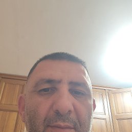 �����, 40 ���, ����