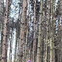 ���� Veronika, �������, 51 ��� - ��������� 18 ����� 2025 � ������ ���� ����������