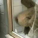    , -, 72  -  7  2025   »