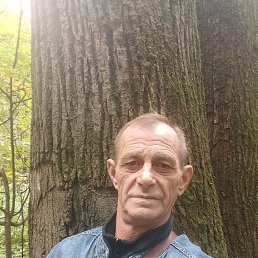 , 55, 