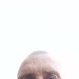 , 44 , 