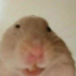 ����, ������, 20 ���