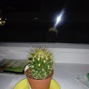 ���� ����������, ����������, 35 ��� - ��������� 6 ������� 2024 � ������ ���� ����������