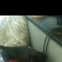���� �����, �����������, 41 ��� - ��������� 7 ������� 2025 � ������ ���� ����������
