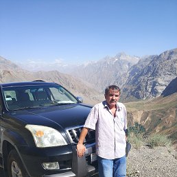 , 54, 