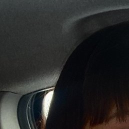 �����, �������, 48 ���