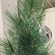 �����, 32 ����, ������