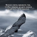 ���� �����, ���������, 48 ��� - ��������� 14 ������ 2023 � ������ ���� ����������