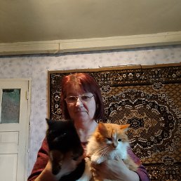 , 61, 