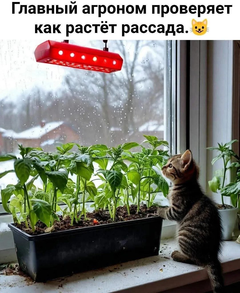 �������� ������ - 22 ������ 2026 � 17:17