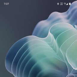 Ynhhj, ������, 28 ���
