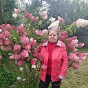 ���� �������, ������ - ��������� 2 �������� 2025 � ������ ���� ����������