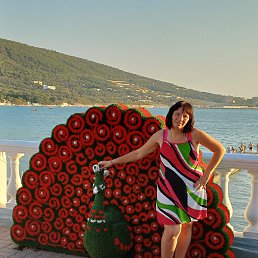 ������, ���������, 41 ���