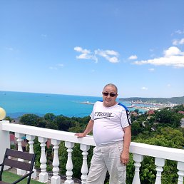 , 53 , 