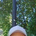 ���� �����, ���������, 52 ���� - ��������� 20 ������� 2025