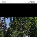 ���� ������, ������������, 53 ���� - ��������� 19 ��� 2026