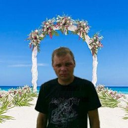 , 44, 
