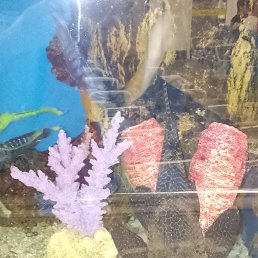 ���� ������, �����, 47 ��� - ��������� 16 ����� 2026