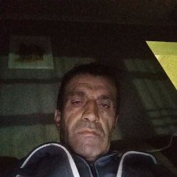 , 54, 