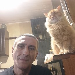 �����, ������, 52 ����