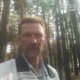 , 53, 