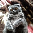  .., , 51  -  5  2025    