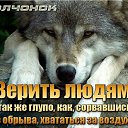 ���� ������, ������, 39 ��� - ��������� 20 ����� 2026