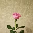 ���� ���������, �����-���������, 47 ��� - ��������� 13 ������� 2024 � ������ ���� ����������