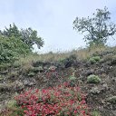 ���� Yuliya, ������, 70 ��� - ��������� 11 ����� 2025 � ������ ���� ����������