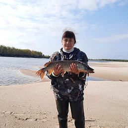 �������, ������, 46 ���